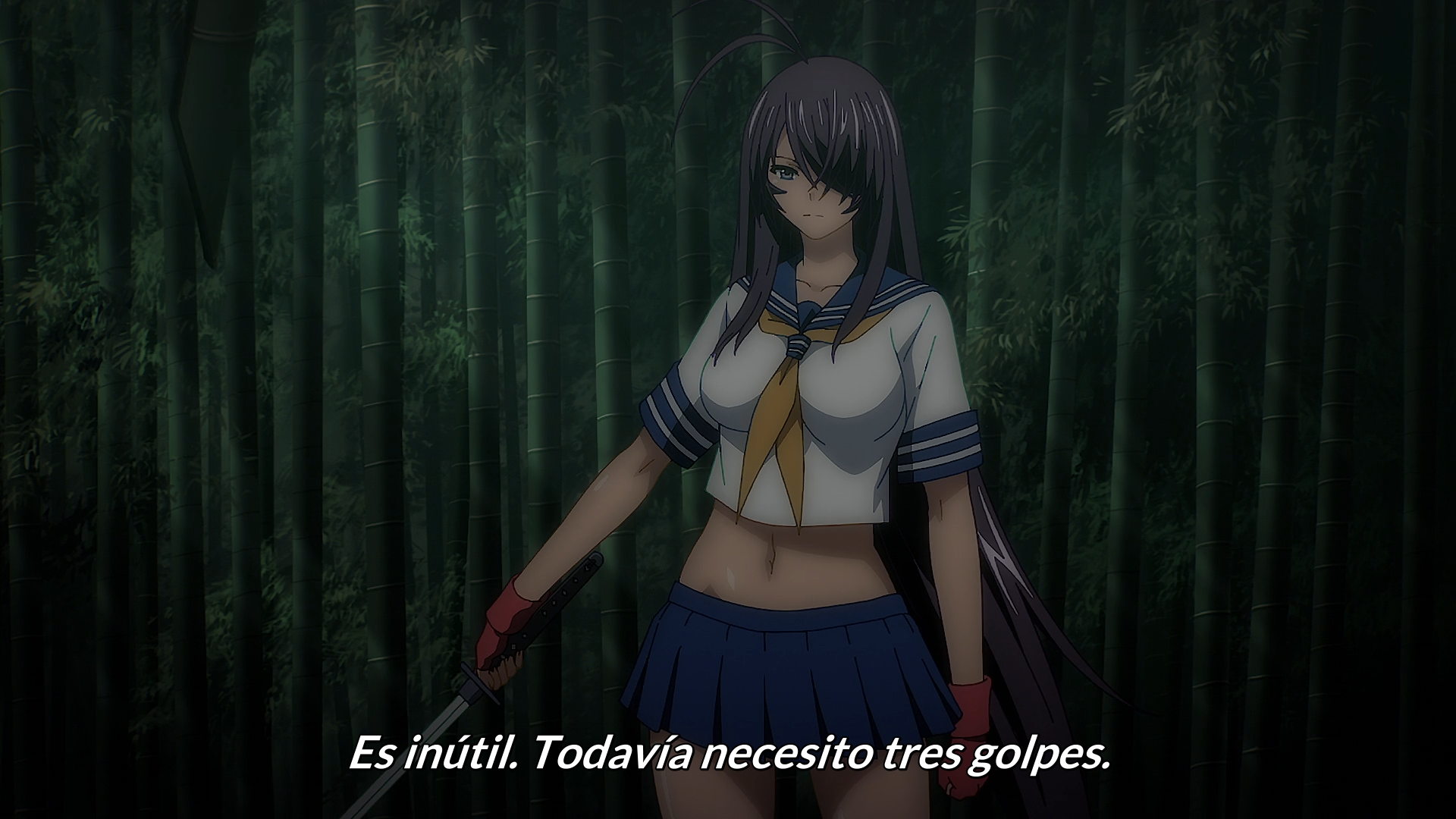 Shin Ikkitousen (PuyaSubs!)